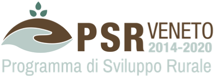 PSR Veneto